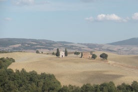 Valdorcia half day Tour: Pienza and Montepulciano