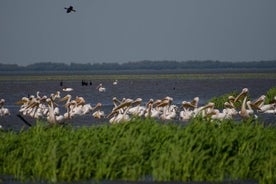 Odessa ökologische Flussfahrt im Naturpark