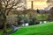 Photo of Phoenix park with a beautiful view, Dublin, Ireland.