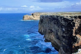 Lagos y Sagres - Privado desde Albufeira