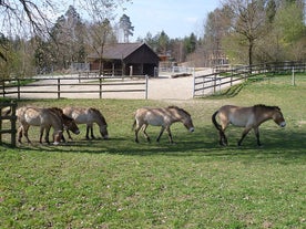 Wildpark Bruderhaus Winterthur