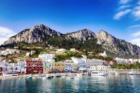 Visite privée de Capri et de la grotte bleue avec guide local avec prise en charge à l'hôtel Capri