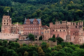 Tour pubblico a piedi di Heidelberg con una guida professionale