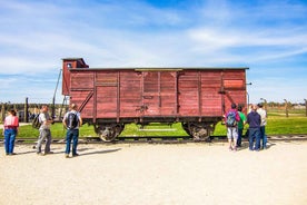 From Krakow: Auschwitz-Birkenau Tour with Transportation