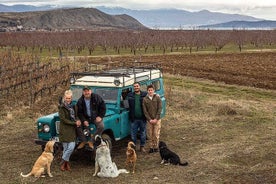 Privat tur i søen og gastronomisk glæde med Xinomavro-vin