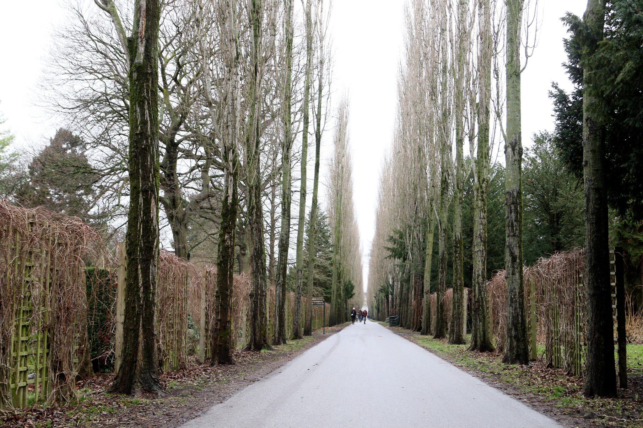 Assistens Cemetery travel guide