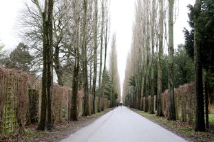 Assistens Cemetery