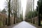 Photo of Assistens Cemetery in Copenhagen, Denmark.