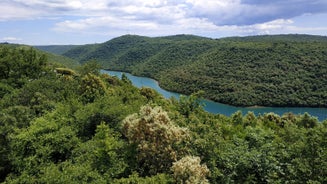 Photo of aerial view of the town of Fazana, Croatia.