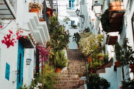 Côtes et montagnes: excursion d'une journée en petit groupe de Nerja à Frigiliana avec les grottes de Nerja