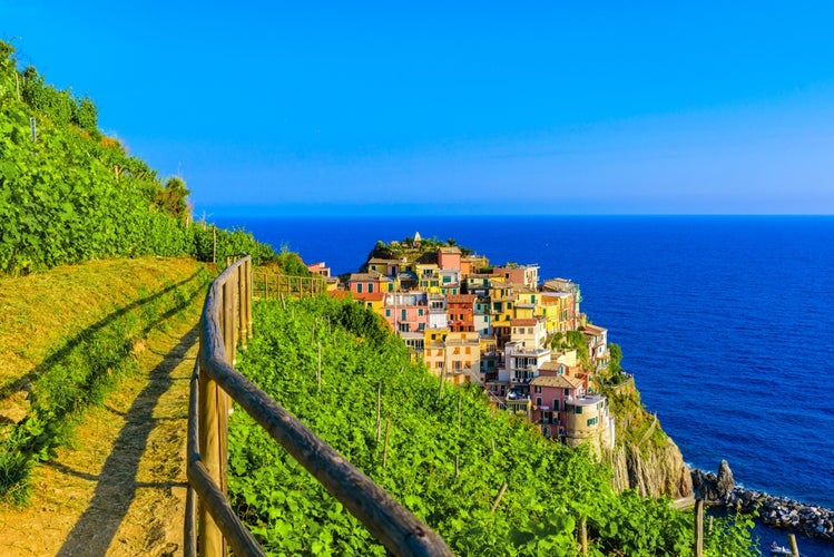 shutterstock_1470503477.jpg