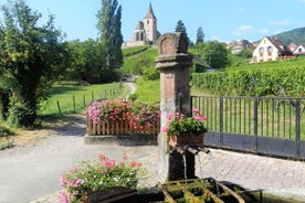 The Emblematic: heimsókn í þorpum, Haut-Koenigsbourg, vínsmökkun