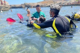 Sjóskírn köfunarupplifun í Polignano a Mare