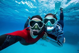 24 ore di attrezzatura da snorkeling, scopri Tenerife da solo!