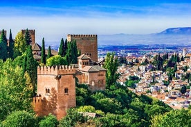 Visite guidée privée de l'Alhambra et du Généralife à Grenade