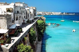 Tour de Salento em um dia com um guia local. Saída de Lecce