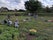 Flag Fen Archaeology Park, Thorney, City of Peterborough, East of England, England, United Kingdom