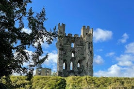 Private Day Tour Yorkshire Moor, Coast Cliff and Whitby 