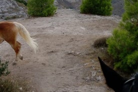 Parc Murgia: visite à cheval