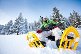 Снегоходная прогулка в Леви