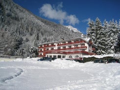 Chalet Hôtel La Sapiniere