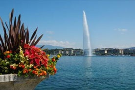 Visite de la ville de Genève et croisière en bateau