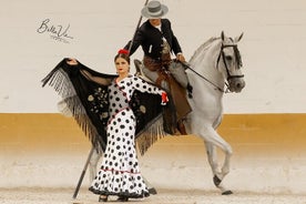 Espectaculo de caballos y flamenco con cena en Malaga