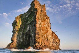 2 hour Round Trip in Vestmannaeyjar on a RIB Boat