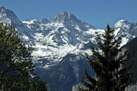 Frá Zürich: Leiðsögn á Jungfraujoch með gönguleiðalest