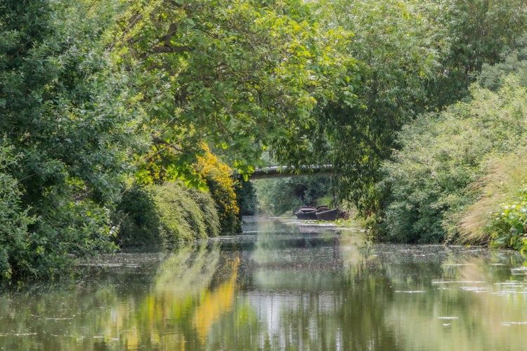 photo of view of the marshes of Saint-Omer, seen from a boat.