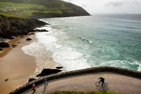 Dingle Peninsula Day Tour fra Limerick: Inkludert The Wild Altanic Way