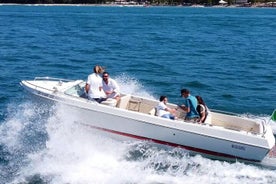 Tour privado en barco y cata de vinos en Lazise