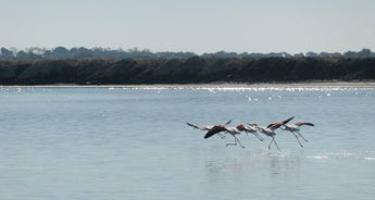 Bike tour, Languedoc, France (guided groups)