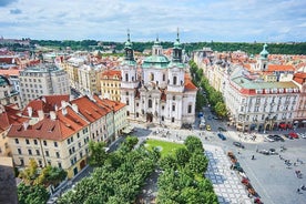 Visita de medio día a Praga, incluido crucero por el río Moldava