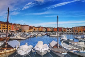 Istria Day Tour from Zagreb