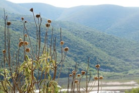 Excursion d'une journée complète dans la partie sud de Vlora