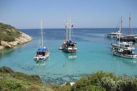 Bodrum Private Gulet Tour með hádegisverði