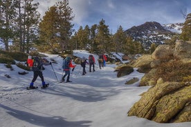 Sneeuwschoenwandelen en sneeuwschuilplaats Pyreneeën