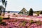 photo of view of traditional Sheepfold in Lueneburg Heath, Germany,Germany Germany.