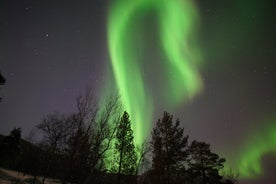 Caza de la aurora boreal