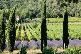 Tour du vin d'une journée autour du Luberon depuis Marseille