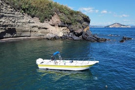 プローチダ島からボートで島を巡る 2 時間のガイド付きツアー