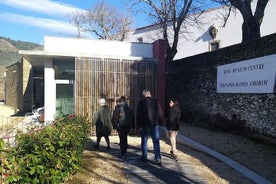 Tour privado al impresionante valle del Duero y las bodegas más famosas