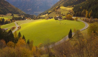 photo of Mountain meadows in Mallnitz, Hohe Tauern, Carinthia, Austria.