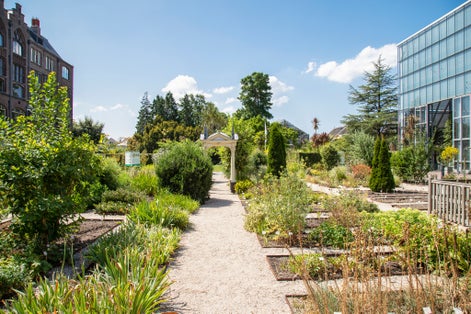 photo of Hortus botanicus in Leiden. It is the oldest botanical garden in the Netherlands and was founded in 1590.