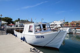 Excursion en bateau privé avec capitaine à Medulin