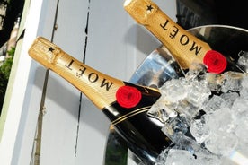 ทัวร์แชมเปญ: Moët & Chandon ไร่องุ่นและชิมไวน์จากปารีส