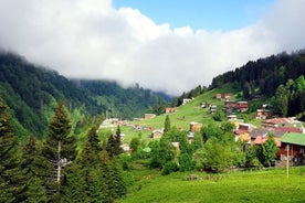 Ayder Tour with Fırtına Valley Adventure：全天体验