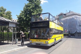 Tour della città di Fürth