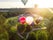 photo of Vilnius ,Lithuania - JULY 3, 2020: Colorful hot air balloons taking off in vingis park in Vilnius city on sunny summer evening. Lots of people watching as balloons fly away.